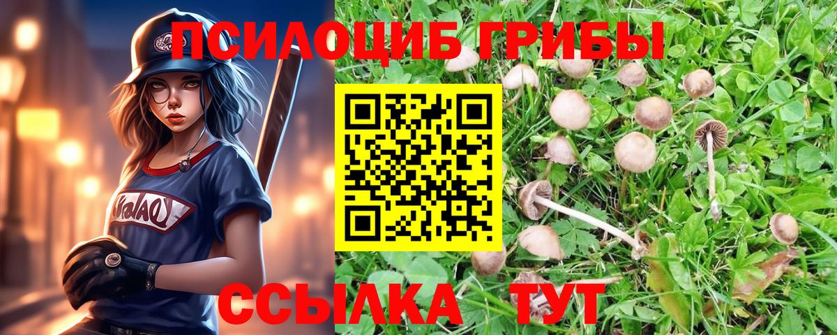Псилоцибиновые грибы Magic Shrooms Хасавюрт